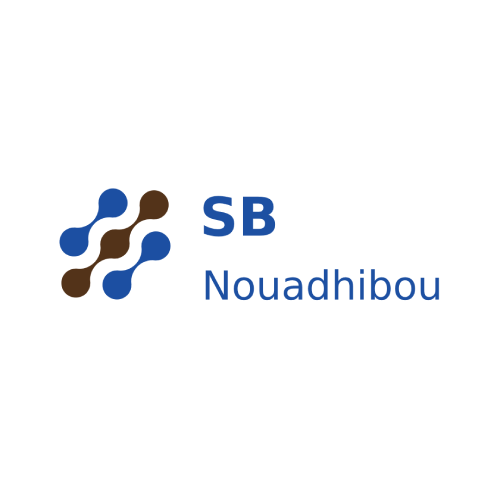 SMART Business Nouadhibou Logo